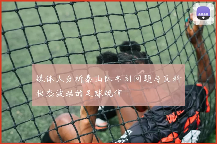 媒体人分析泰山队冬训问题与瓦科状态波动的足球规律